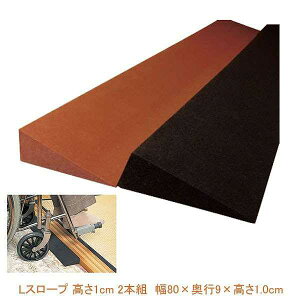 X[v Ԃ Ԉ֎q  LX[v 1cm 1{ TL-010 ubN CNX21