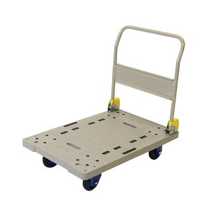 ���� �����L�����[ NP300DXL 181875 �󍁍H��
