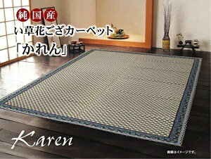 Y CԂJ[ybg  u[ ]ˊ6 261×352cm CPqR