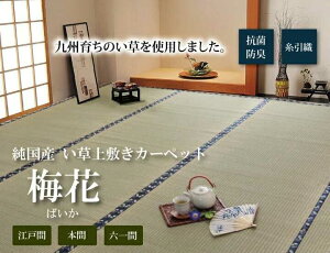 純国産 い草 上敷き カーペット 糸引織 梅花 本間3畳 約191×286cm イケヒコ