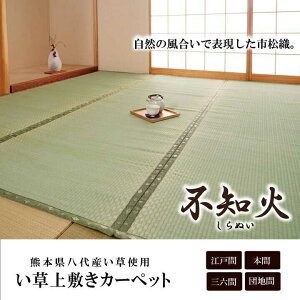 Y  ~ J[ybg sD sm ]ˊ10 440×352cm F{YCgp CPqR
