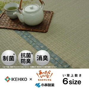 ���� ��~�� �J�[�y�b�g ���� �R�ۖh�L ���L ���ѐ���KOBA-GUARD �]�ˊ�6�� ��261×352cm �C�P�q�R