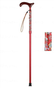 Xg[gA~Lk t[ CH880 Tr[