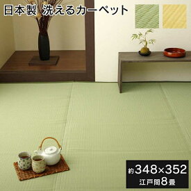 ラグ 洗える 日本製 国産 アウトドア レジャー アウトドア 和室 シンプル グリーン 江戸間8畳 約348×352cm イケヒコ