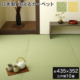 ラグ 洗える 日本製 国産 アウトドア レジャー アウトドア 和室 シンプル グリーン 江戸間10畳 約435×352cm イケヒコ