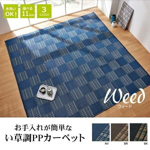 ���O �􂦂� PP�J�[�y�b�g �E�B�[�h �l�C�r�[ �]�ˊ�3�� ��174×261cm �C�P�q�R