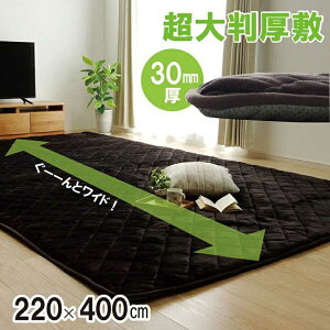 ラグ こたつ敷き布団 長方形 大きい 幅広ラグ ブラウン 約220×400cm イケヒコ