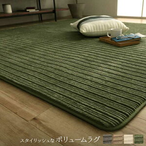 O ` {[ Ȃ߂炩 ᔽ I[V[Y ɂH Vv O[W 3 200×250cm zbgJ[ybg g[Ή CPqR