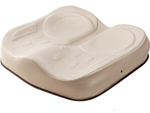 AEPA100C OWL100C-BK1-4040 ԂNbV GNXWF n