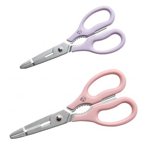 [֏o @\  ͂ p[v sN 1{4 t^J eBeBfBJ