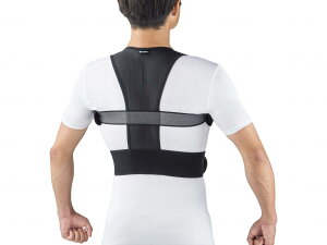 [֏o p T|[g xg ubN S M L jp naoss iIX یY