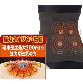 マグネリラックス 血行改善 腹巻 腰 フリーサイズ セルヴァン メール便