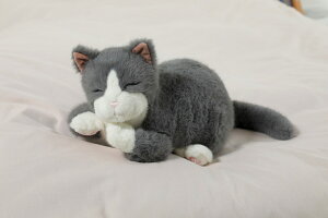 睡眠環境サポート Relapy リラピー 猫 ブリティッシュショートヘア RLP1-CT 群馬電機 リラックストイ ぬいぐるみ 就寝 寝るとき 湯たんぽ 寝室 かわいい ペット 介護 敬老の日 高齢 父 母 プレゼ