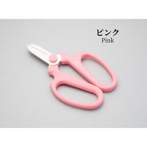 [֏o nhNG[V RpNgTCY FL[g S8J[  nTbNJo[t ⌹