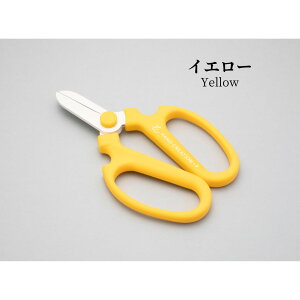 [֏o nhNG[V RpNgTCY FL[g S8J[  nTbNJo[t ⌹