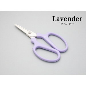 [֏o ~jNG[V Mini-F S4J[ yĐ؂ꖡQ nhNG[V  nTbNJo[t ⌹