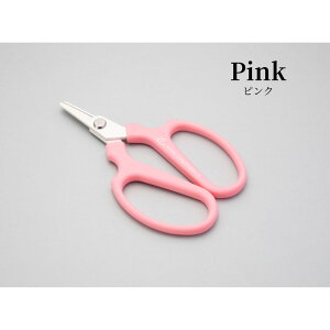 [֏o ~jNG[V Mini-F q  S4J[ nTbNJo[t ⌹