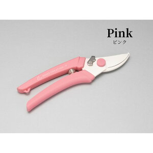 [֏o nhNG[V P-180 S6J[ n  nTbNJo[t ⌹