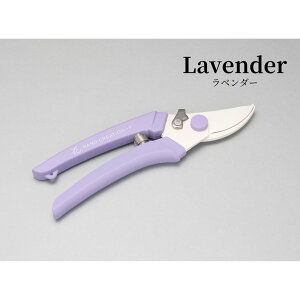 [֏o nhNG[V P-180 S6J[ n  nTbNJo[t ⌹