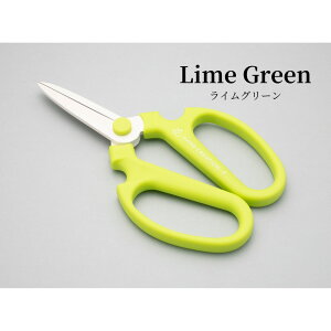 [֏o nhNG[V F-195 On S11J[ n  nTbNJo[t ⌹