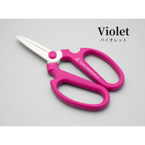 [֏o nhNG[V F-195 On S11J[ n  nTbNJo[t ⌹