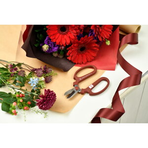 [֏o nhNG[V XeCg ⌹