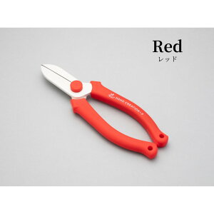 [֏o nhNG[V z F-165 2J[ ԗp ⌹