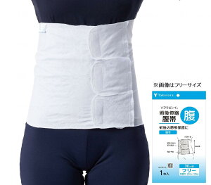 [֏o p Lk \trC 30cm STCY t[TCY XLTCY |