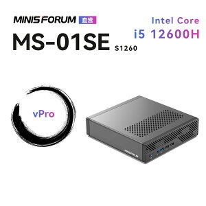 �y�V����20��OFF�zMINISFORUM MS-01SE �~�j���[�N�X�e�[�V���� �AIntel Core i5 12600H �ADDR5 SODIMM�ANVME SSD�AvPro�A3xM.2 2280�X���b�g�Ή��A���^�Q�[�~���OPC�A2x2.5GbE LAN/Wi-Fi6/BT5.3�AHDMI/USB4x2�~�j�p�\�R��