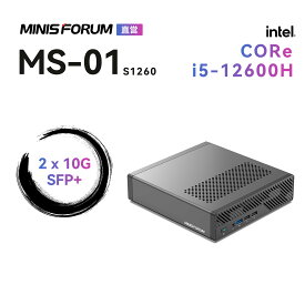 【★20％クーポン】MINISFORUM MS-01 S1260ミニPC、M.2 2280/22110 SSD/U.2 SSD/RTX A2000/RTX 3050対応、小型ゲーミングPC、HDMI/USB4x2、8k@60Hz 3画面出力