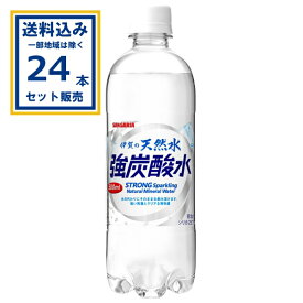 サンガリア 伊賀の天然水 強炭酸水 500ml×24本×1ケース (24本)(送料無料、一部地域は除く) 炭酸入り ナチュラルミネラルウォーター シリカ 非加熱 水 鉱水 SANGARIA まとめ買い