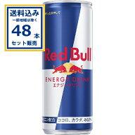 レッドブルジャパン レッドブルエナジー 250ml×24本×2ケース (48本)(送料無料、一部地域は除く) エナジ…