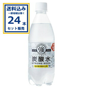 友桝飲料 強炭酸水 500ml×24本×1ケース (24本)(送料無料、一部地域は除く) 炭酸水 ソーダ水 スパークリングウォーター 強刺激 そのまま飲んでも、割ってもおいしい ハイボール ソーダ 割り材