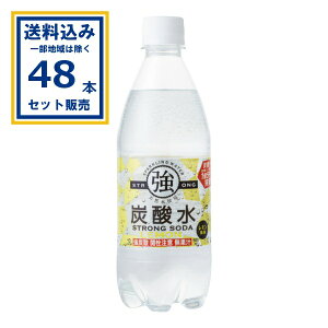 友桝飲料 強炭酸水 レモン 500ml×24本×2ケース (48本)(送料無料、一部地域は除く) 炭酸水 ソーダ水 スパークリングウォーター 強刺激 スパークリングレモン 国産 ペットボトル 無糖 まとめ買い