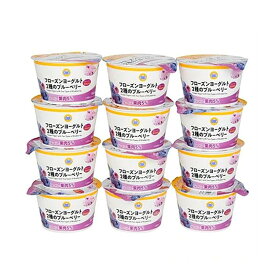 【送料込み】フローズンヨーグルト2種のブルーベリー 12個入 冷凍 スイーツ アイス ミニストップオリジナル ギフト