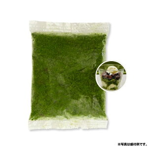 yAEgbgzy݁z~jXbgv tyb`11500g (100g×15) [ⓀHi] tyb` AEgbgƖp fU[g  َq AWVs  