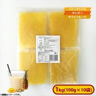 【アウトレット】ミニストップ イエロー フルーツベース 1袋(100g×10袋入)［冷凍食品］スムージー 朝食 …