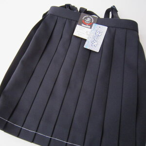 w@XJ[g@HyÁz@20{ԃq_v[cXJ[g@TCY130`140/ʊw/wZ/q/XN[/LbY/WjA/EHbVu/w/Ǝ/\/