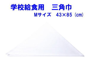 �y���[����OK�z�O�p�Ё@M�T�C�Y�@�w�Z���H�p/��/�L�b�Y�E�W���j�A/���w�����H��