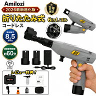 ＼即納★2026最新進化版！P6倍+MAX50%OFF！／ Amilozi 高圧洗浄機 小型 洗車ガン 高コスパタイプ(直射+拡…