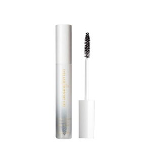 Ifbg tFjbNX ACbVT|[gWF Cg&Zp[g 8mL