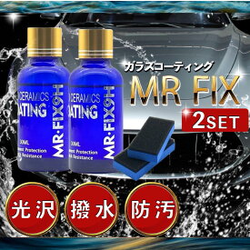硬化型ガラスコーティング剤 Mr-Fix 9H 2本セット コスパ最強 超撥水 光沢 鏡面仕上げ ボディコーティング バイク対応 未塗装樹脂OK 傷防止 耐久性 耐熱 UVカット 長持ち 簡単施工 業務用 DIY プロ仕様 洗車グッズ 自動車コート