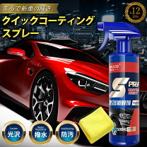楽天市場】激安（コーティング剤｜ボディ洗浄・ケア用品 