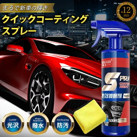 車用ナノコーティング剤 コスパ最強 車 コーティング剤 大容量500ml 2個セット クロス付き 洗車セット 撥水 艶出 手入れ簡単 光沢 ボディ 保護 防汚 ツヤ出し ガラスコーティング クイックコーティングスプレー ハンドナノコーティング スプレー 業務用