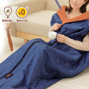 C_C gg4WAYVt / lCr[ Q ߓd h h ЊQ ѕz v[g AEghA Lv X|[c