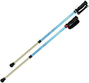 񂵂2{ 2{1g o U ]|\h[lC oX S S g₷ iSFSii