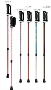 ƈS2{ 10%OFFI 2{1g o U ]|\h[lC `Fbg({^) oX _炩 y S g₷ iSFSii@hV̓