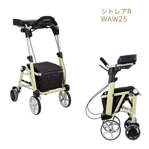 VgAR WAW25 Ka쏊 hV̓ c s Vo[J[ s  c ysz