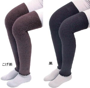 Ђtӂ背bOEH[}[i21gj ₦ d˗ ₷ Lk  H~ fXN[N jɂ lC { pVtBbNTvC