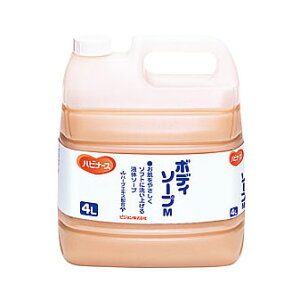 {fB\[v 4L [][nri[X][n[uGLX][ێ][]